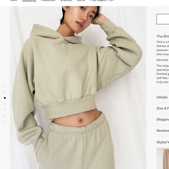 Aritzia Sweaters - COPY - Aritzia cozy af perfect shrunken hoodie